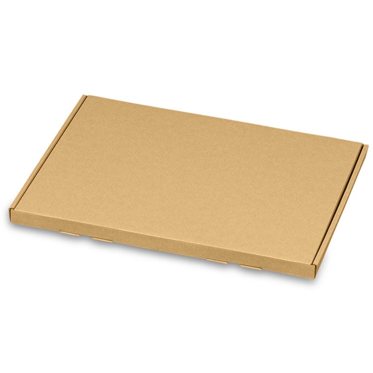 Maxibriefkarton (215x155x15 mm)