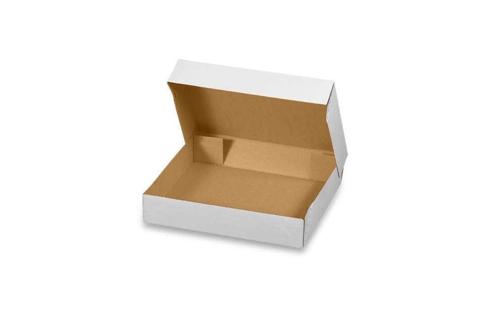 Faltbodenschachtel E-Commerce, wiederverschließbar (400x300x80 mm)