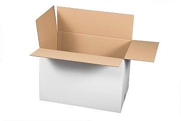 Versandkarton 2-wellig (400x300x300 mm)