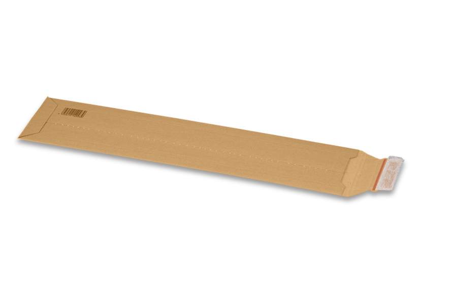 Stanzverpackung für KFZ Kennzeichen (112x522x10 mm)