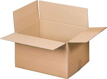 Versandkarton 2-wellig (800x300x200 mm)