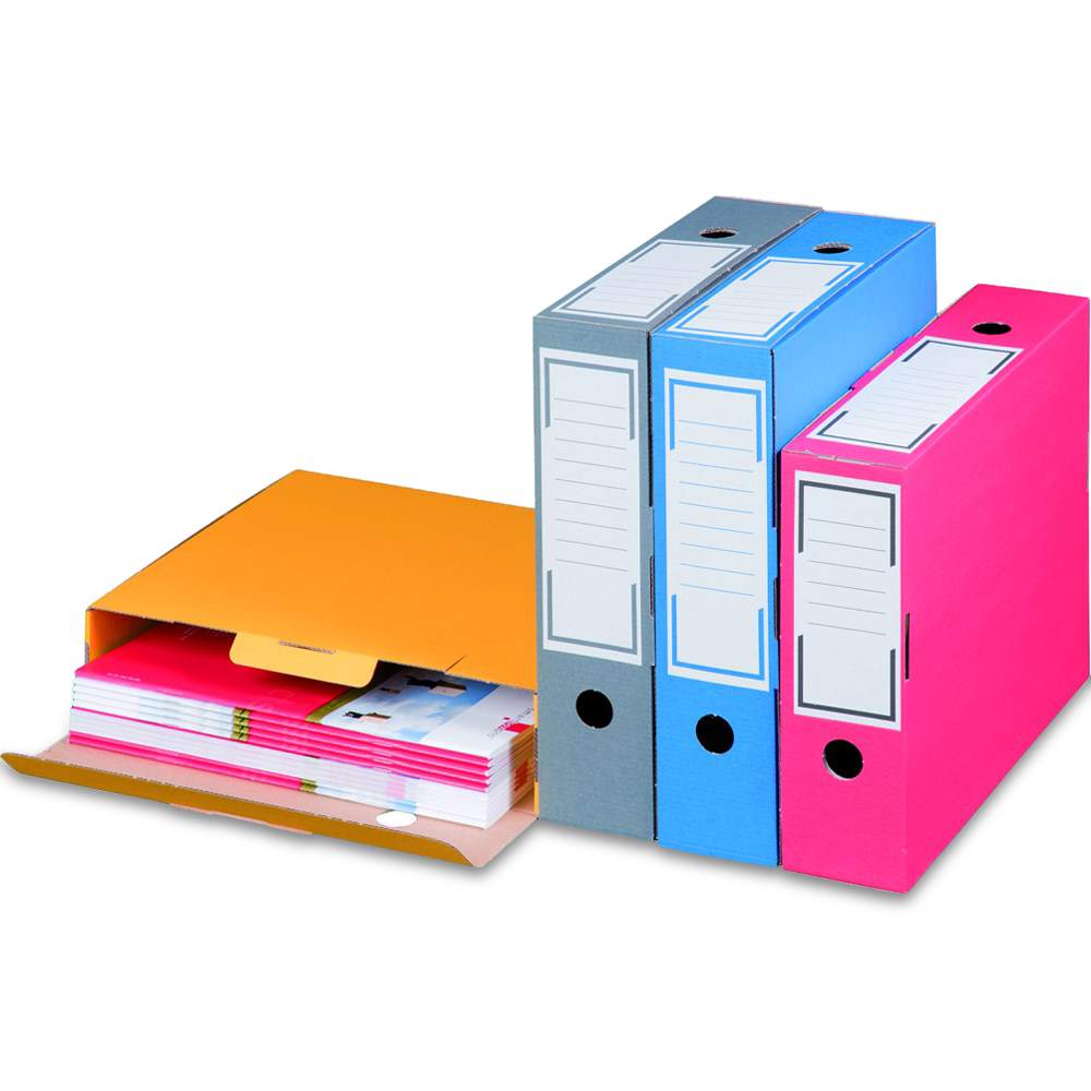 Archiv-Ablagebox, farbig (315x76x260 mm)